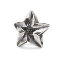 KORALIK Trollbeads, Pisces Star